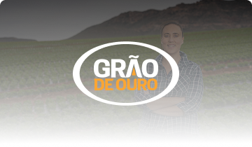 Grão de Ouro - Estudo de Caso RH